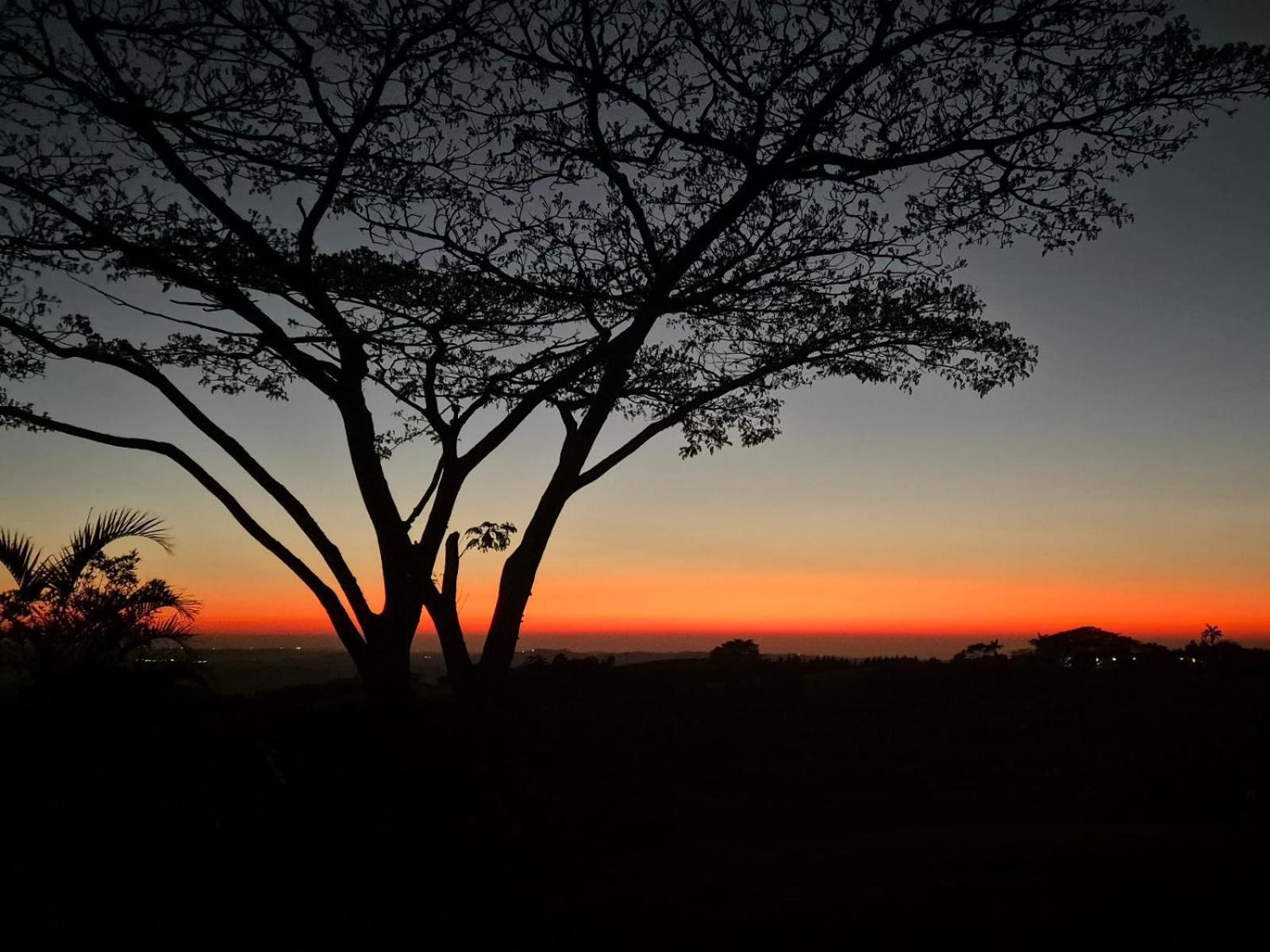 Silverstreams Lodge, Villas & Cottages, Oribi Gorge Glendale Luaran gambar